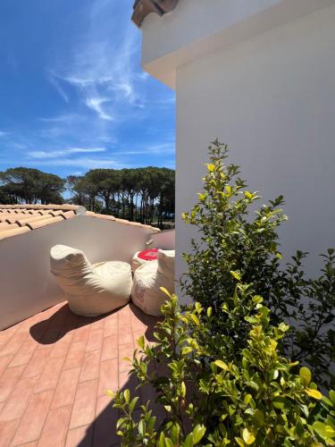 Φωτογραφία από το άλμπουμ του Hotel New Barcavela σε Santa Margherita di Pula