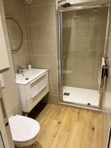 une salle de bain avec une douche, des toilettes et un lavabo dans l'établissement Appartement dans résidence avec piscine, à Villeneuve-Loubet
