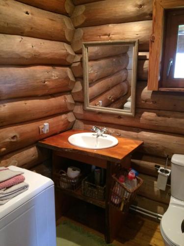 a bathroom with a sink in a log cabin at Un Chalet en Corrèze in Auriac