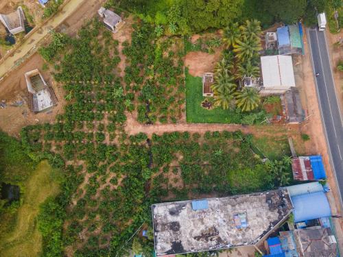 Άποψη από ψηλά του Mango Tree Retreat