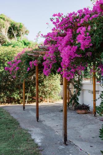 three wooden posts with pink flowers on them at Villino Blu by the sea in Gouves