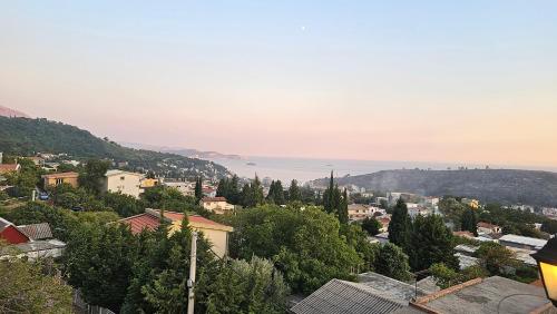 a view of a city with the ocean in the distance at Apartmani Sabotic in Sutomore