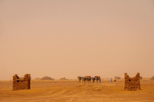 Επισκέπτες που μένουν στο Sahara Sunset Camp M'hamid
