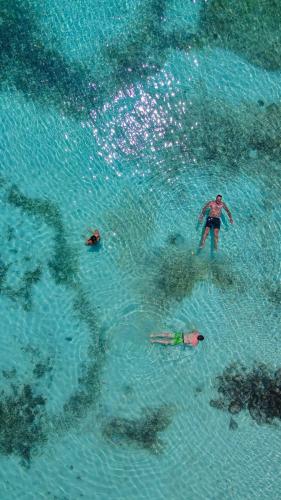 Tintipan IslandにあるMedusa Hostel Isla Tintipanの水泳集団