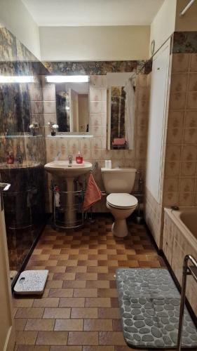 une salle de bain avec toilettes, lavabo et baignoire dans l'établissement Charmant appartement lumineux proche du centre ville, à Strasbourg