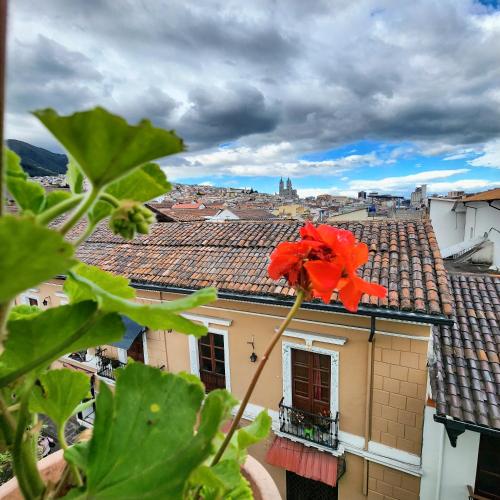 a red flower on top of a building at Hotel Boutique Casa San Marcos in Quito