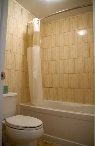 a bathroom with a toilet and a bath tub at Saxony Motel in Chatham