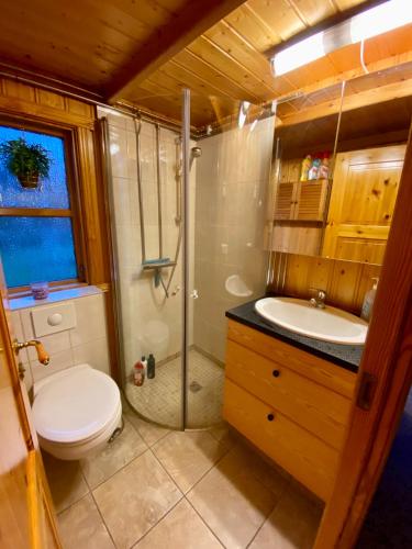 a bathroom with a toilet and a shower and a sink at Hvammur Cottages in Godafoss