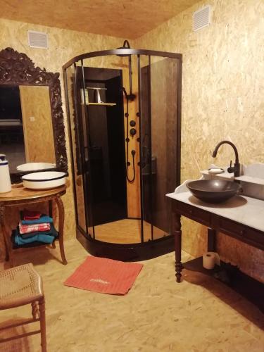 une salle de bain avec une douche avec un lavabo et un miroir dans l'établissement Domaine du Baron, à Saint-Martin-lʼAstier