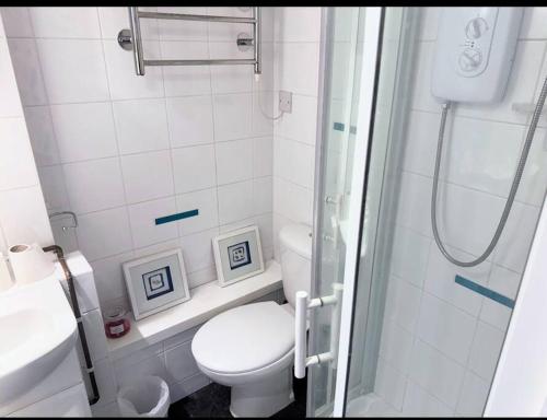 a small bathroom with a toilet and a shower at Folkstone Luxury Spacious House in Folkestone