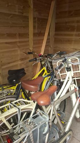 Gambar di galeri bagi Chalet T12 op Ameland inclusief Fietsen, Zee en Strand op loopafstand! di Buren