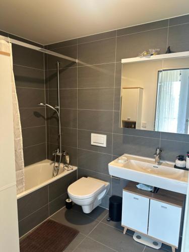 Apartment in Basel City Center - EXPO Basel