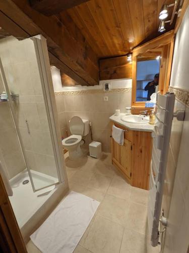 une salle de bain avec une douche, des toilettes et un lavabo dans l'établissement Duplex 170m2 avec terrasse vue domaine skiable ARCS2000, à Arc 1950