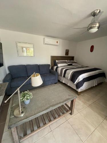 a living room with a bed and a blue couch at Tropical Oasis in San José del Cabo