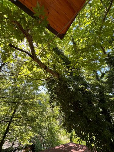 a view of the trees from under a wooden roof at Bar Restaurant Hotel Gysi in Klos