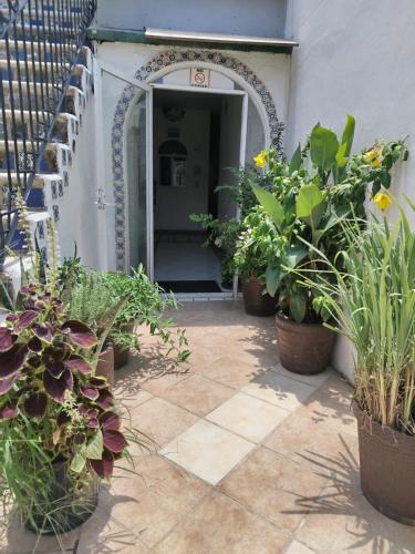 a courtyard with potted plants and an entry way at Alexandross in Puerto Vallarta