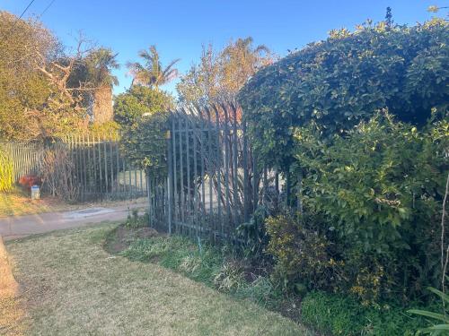 a gate in a yard with a hedge at Horizon Bed and Breakfast in Roodepoort