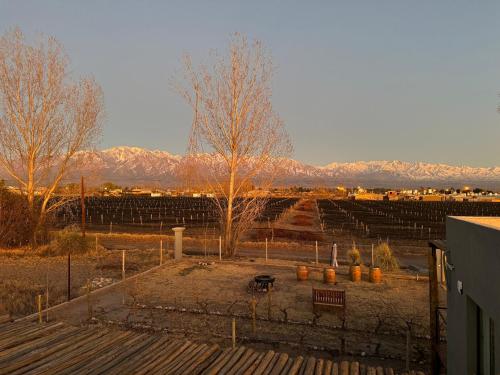 a view of a field with a tree and mountains at La Viñita Wine Lodge in La Consulta