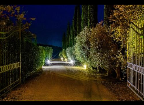a street with a fence and trees at night at Ghiaccio Bosco in Capalbio