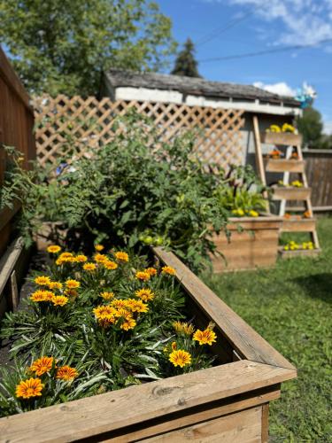 a wooden box filled with flowers in a garden at Modern home in Downtown Wpg in Winnipeg