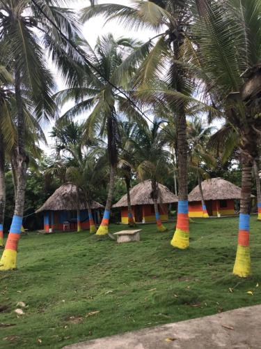 a group of palm trees with colored poles at Hotel EL PALMAR TOURS in Arboletes