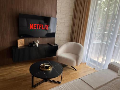 a living room with a couch and a chair and a tv at Helikon Zlatibor Apartman 310 in Palisad