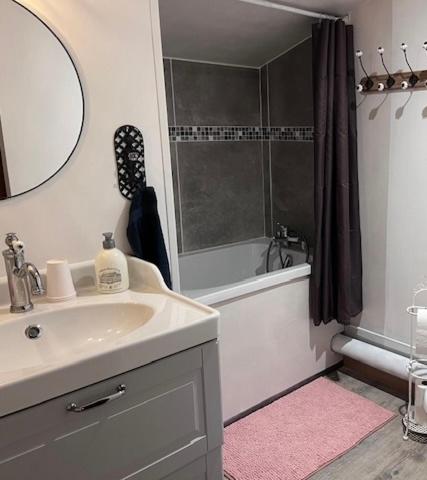 une salle de bain avec un lavabo et une douche avec un miroir dans l'établissement Tess Cottage, à Brie-sous-Mortagne