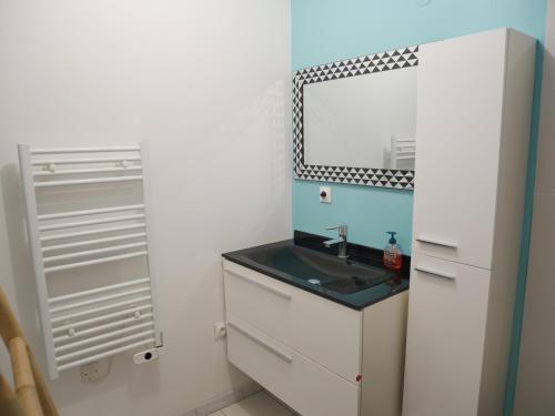 une salle de bain avec un lavabo et un miroir dans l'établissement Appartement à 15 minutes de Paris, proche gare, au Bourget