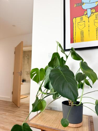 Stokes Croft - Whole Apartment - City Centre - Serviced Accommodation BS1 photo 25