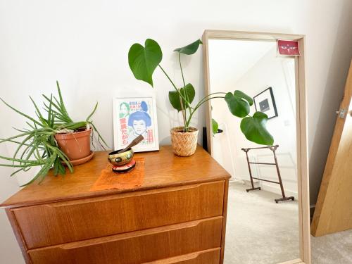 a wooden dresser with plants on top of it at Stokes Croft - Whole Apartment - City Centre - Serviced Accommodation BS1 in Bristol