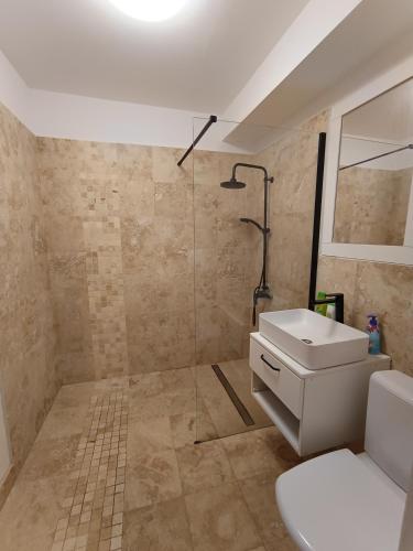 a bathroom with a sink and a shower at apartament plaja Florian in Mamaia