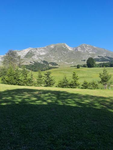 a green field with trees and mountains in the background at The View Smrcevo Brdo in Žabljak