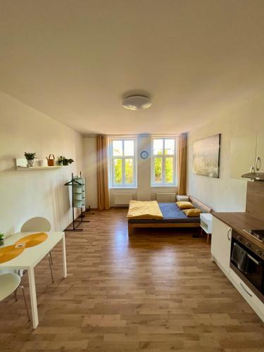 Cozy apartment in Brno city center