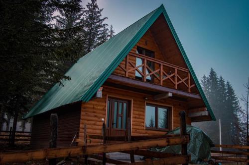 a cabin in the woods with a green roof at Ville Uskoci in Žabljak