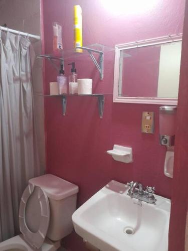 a bathroom with a white toilet and a sink at Hospedaje Mamá Rosita in Tlaxcala de Xicohténcatl