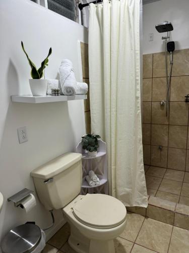 a white bathroom with a toilet and a shower at B&B Pacuare River Gateway Tica House in Linda Vista
