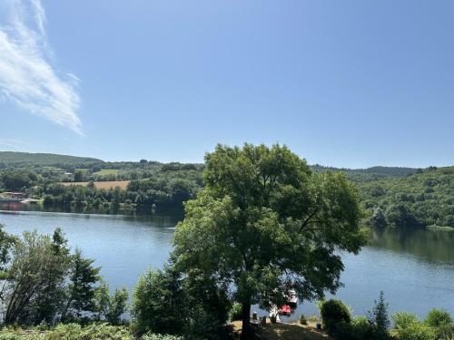 une vue sur une rivière avec un arbre au premier plan dans l'établissement La Casa, à La Salvetat-sur-Agout