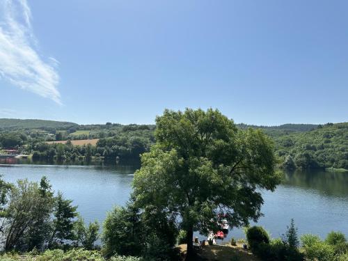 - une vue sur une rivière avec un arbre dans l'établissement La Casa, à La Salvetat-sur-Agout