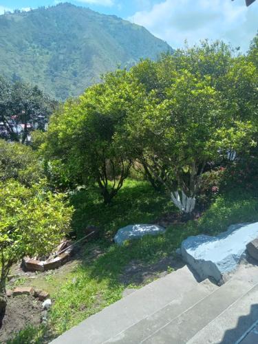 a garden with trees and a mountain in the background at CASA MARTIN en Baños de Agua Santa in Baños