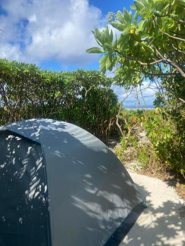 Gallery image of ALAROOTS BORA BORA CAMP in Bora Bora