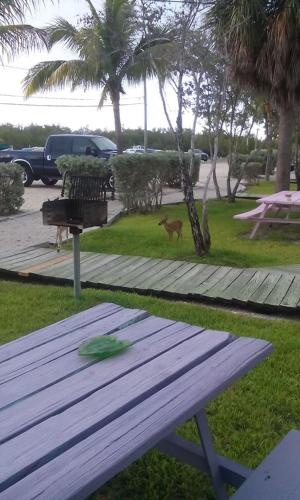 a picnic table with a deer walking in a park at Old Wooden Bridge Resort & Marina in Big Pine Key