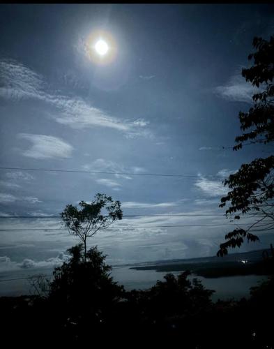 プエルト・ヒメネスにあるVista al mar lodgeの前景に木がある月明かりの空