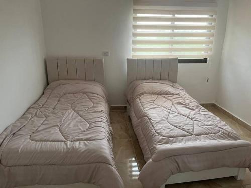 two beds sitting next to each other in a room at Guest house in Ghawr alsafi in Aş Şāfī