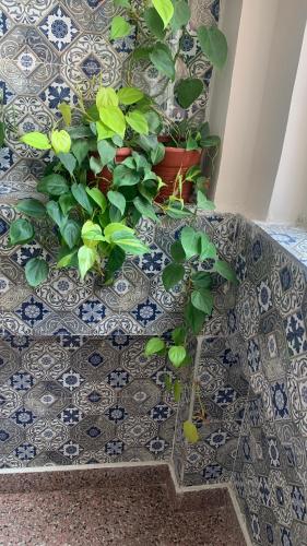 a tiled floor with potted plants on it at Rudram Hotel Yoga & Ayurveda Retreat in Rishīkesh