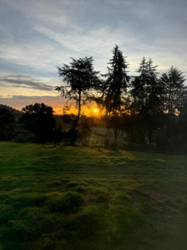 a group of trees in a field with the sunset at Chalet bosques de Zacatlan III in Tepoxcuautla