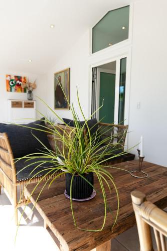 a living room with a couch and a table with a plant at Strandhuset. in Asperup