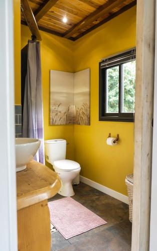 bagno giallo con servizi igienici e lavandino di le domaine de jade a Rivière du Mât-les Hauts