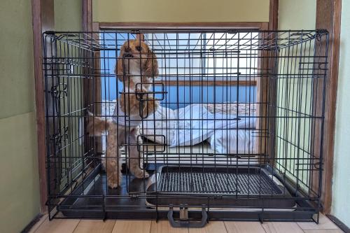 a dog is sitting in a cage at IG3 宇佐美駅近海近の完全貸切ビーチハウス お宿三感四温 Oyado Sankanshion in Ito