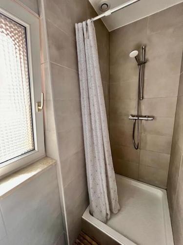 une salle de bain avec une douche avec un rideau de douche dans l'établissement Appartement cosy au centre-ville, à Haguenau