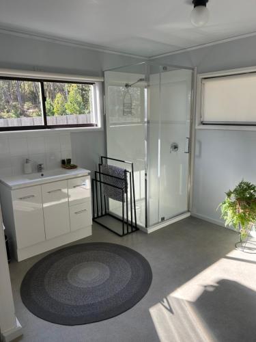 a bathroom with a shower and a sink at Secret Spot - Bruny Island in Lunawanna